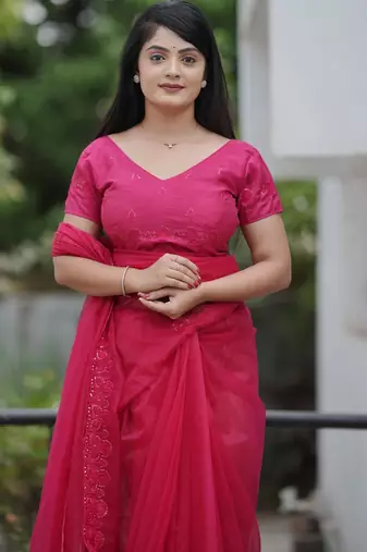 Pink embroidered blouse with embroidered saree