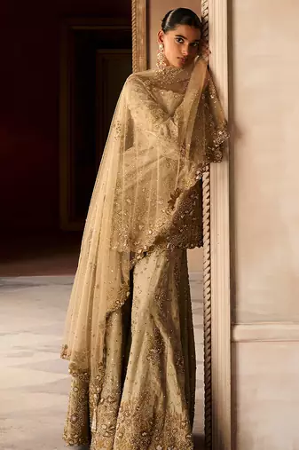 Gold embroidered tissue silk sharara set