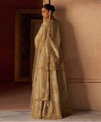 Gold embroidered tissue silk sharara set 4