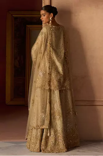 Gold embroidered tissue silk sharara set