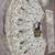 WHITE GEORGETTE  EMBROIDERY SEMI STICHED  LEHENGA WHIT BLOUSE