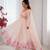 Womens new organza soft taby silk heavy quality fabric with digital print gown set