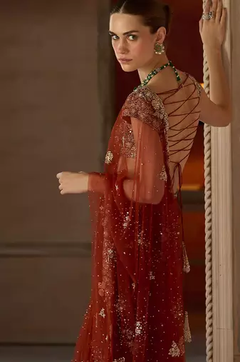 Rust Red Embroidered Tulle Saree With veil