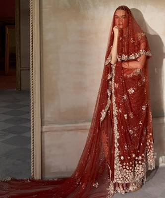 Rust Red Embroidered Tulle Saree With veil 5