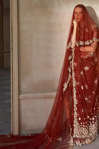 Rust Red Embroidered Tulle Saree With veil