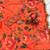 Orange Color Sequins And handwork Georgette  Saree