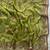 Green Color Thread Embroidery work  Satin Silk Saree