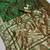 Green Color Zari Woven Work Silk Saree