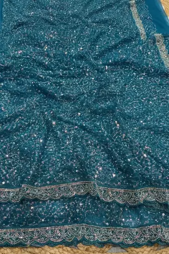 Blue Color  Beads Work with Cut work border Net Saree