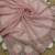 Light Pink Color  Beads Work with Cut work border Net Saree