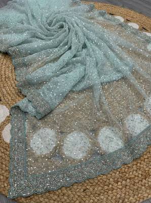 Sky Blue Color  Beads Work with Cut work border Net Saree 3