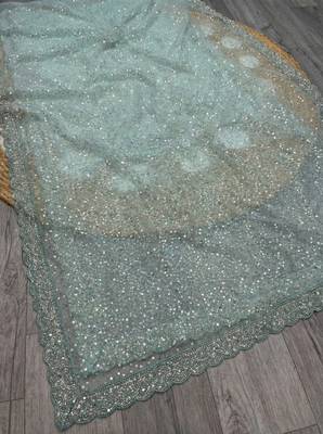 Sky Blue Color  Beads Work with Cut work border Net Saree 4