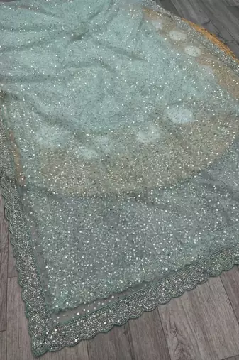 Sky Blue Color  Beads Work with Cut work border Net Saree