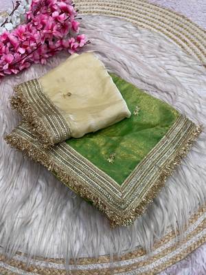 Parrot Green Color Sequence  butti  Work Satin Saree 5