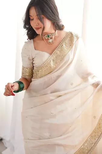 chiku silk saree with embroidered sequins work