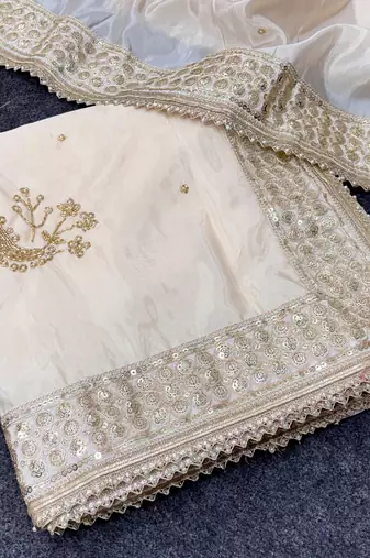 chiku silk saree with embroidered sequins work