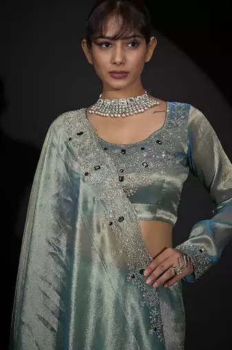 sky blue handwork zarkan border kanjivaram silk saree