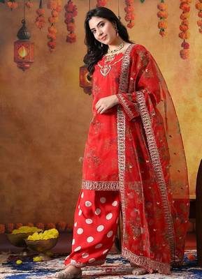 Red organza embroidered kurta set 2