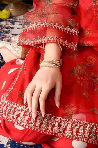Red organza embroidered kurta set
