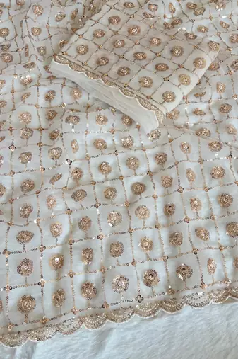 white net saree with beads embroidery sequins moti work