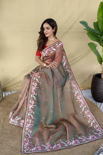 Light Brown Color  multithread embroidery Work art silk saree