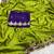 Parrot Green  Color Embroidery and zari work Silk Saree