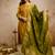 Mustard vatican heavy thread embroidery work kurta pant set