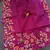 Magenta Color  floral embroidery Work art silk saree