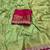 Parrot Green Color Embroidery cording sequin and thread work  Dolla silk blend Saree 
