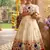 Soft paithani silk zari weaving birds pattern kids gown