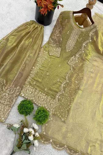 light green silk salwar kameez with embroidery work