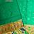 Parrot green color zari and meena weaving banarasi silk paithani saree
