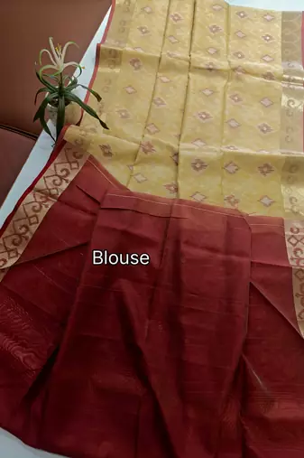 cream raw silk pochampally ikkat saree with zari border