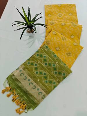 yellow resham and zari weaving raw silk pochampally ikkat saree 3