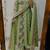 Floral printed pure cotton round neck kurta trouser & dupatta set