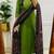 Floral embroidered pure cotton v neck kurta trouser & dupatta set