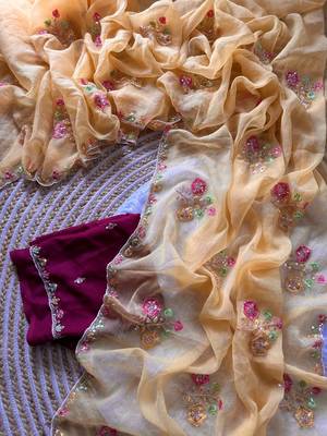 light peach silk saree with embroidered cutdana work 2