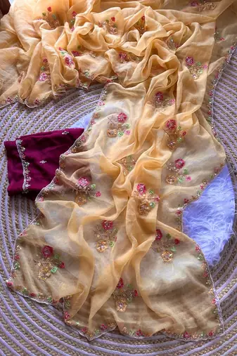 light peach silk saree with embroidered cutdana work