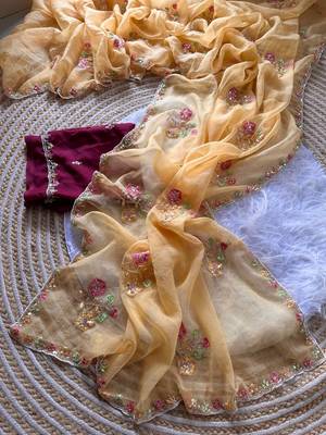 light peach silk saree with embroidered cutdana work 4