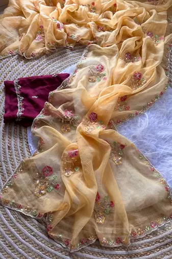 light peach silk saree with embroidered cutdana work