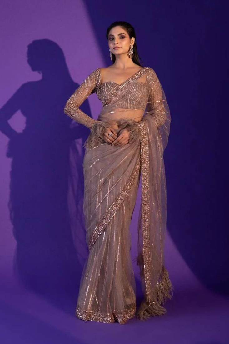 Net saree with sequence, dori & zari work plus jhalar border