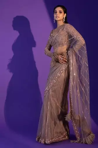Net saree with sequence, dori & zari work plus jhalar border