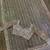 Net saree with sequence, dori & zari work plus jhalar border