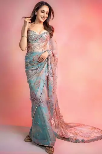 Tabby silk saree with handwork sequins & real mirror border