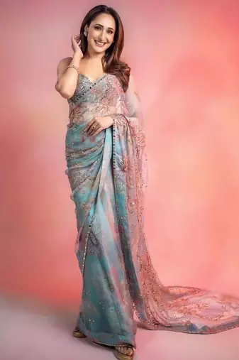 Tabby silk saree with handwork sequins & real mirror border