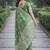 Wine soft silk banarasi jacuard work designer party wear saree with unstitched blouse piece