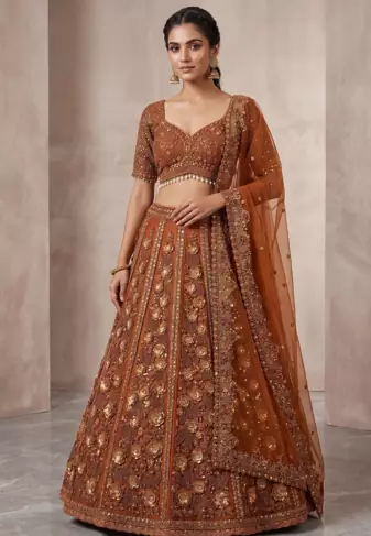 Brown Net Zardosi & Sequin Embroidered Lehenga Set