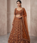Brown Net Zardosi & Sequin Embroidered Lehenga Set