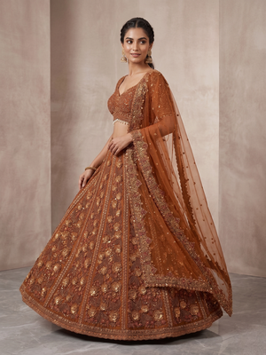 brown net lehenga set with zardozi sequins work 2