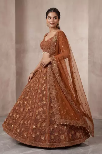 brown net lehenga set with zardozi sequins work